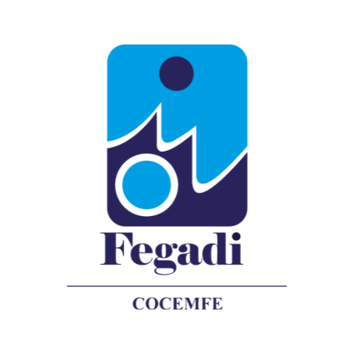 Logotipo de la Federación Fegadi - Cocemfe compuesto de letras escritas en azul y figura geometrica en forma de rectangulo sobre la palabra fegadi