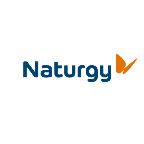 Logotipo de la empresa Naturgy escrito primera letra en mayusculas y el resto en letras minúsculas y en color azul seguido de una imagen en forma de mariposa de color naranja