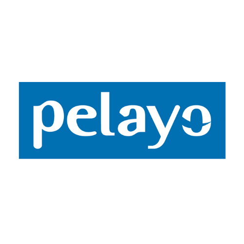 Logotipo de Pelayo escrito en minúsculas y color blanco sobre rectángulo de color azul