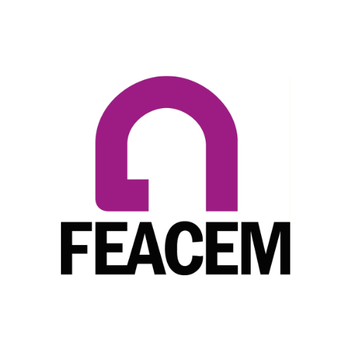 Logotipo de FEACEM, Federación Empresarial Española de Asociaciones de Centros Especiales de Empleo. La palabra FEACEM aparece en letras mayúsculas negras bajo forma geométrica en color morado